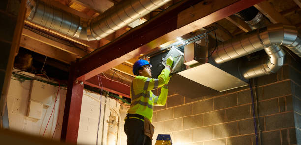 Best Ductwork Cleaning Services  in Demopolis, AL