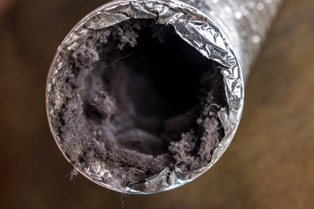 Best HVAC System Cleaning  in Demopolis, AL