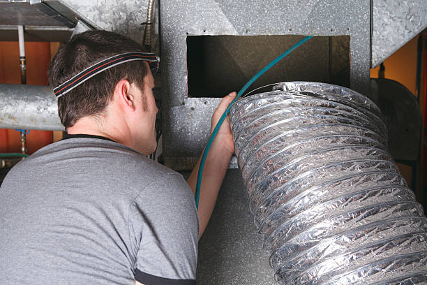 Best Dryer Vent Cleaning Services  in Demopolis, AL